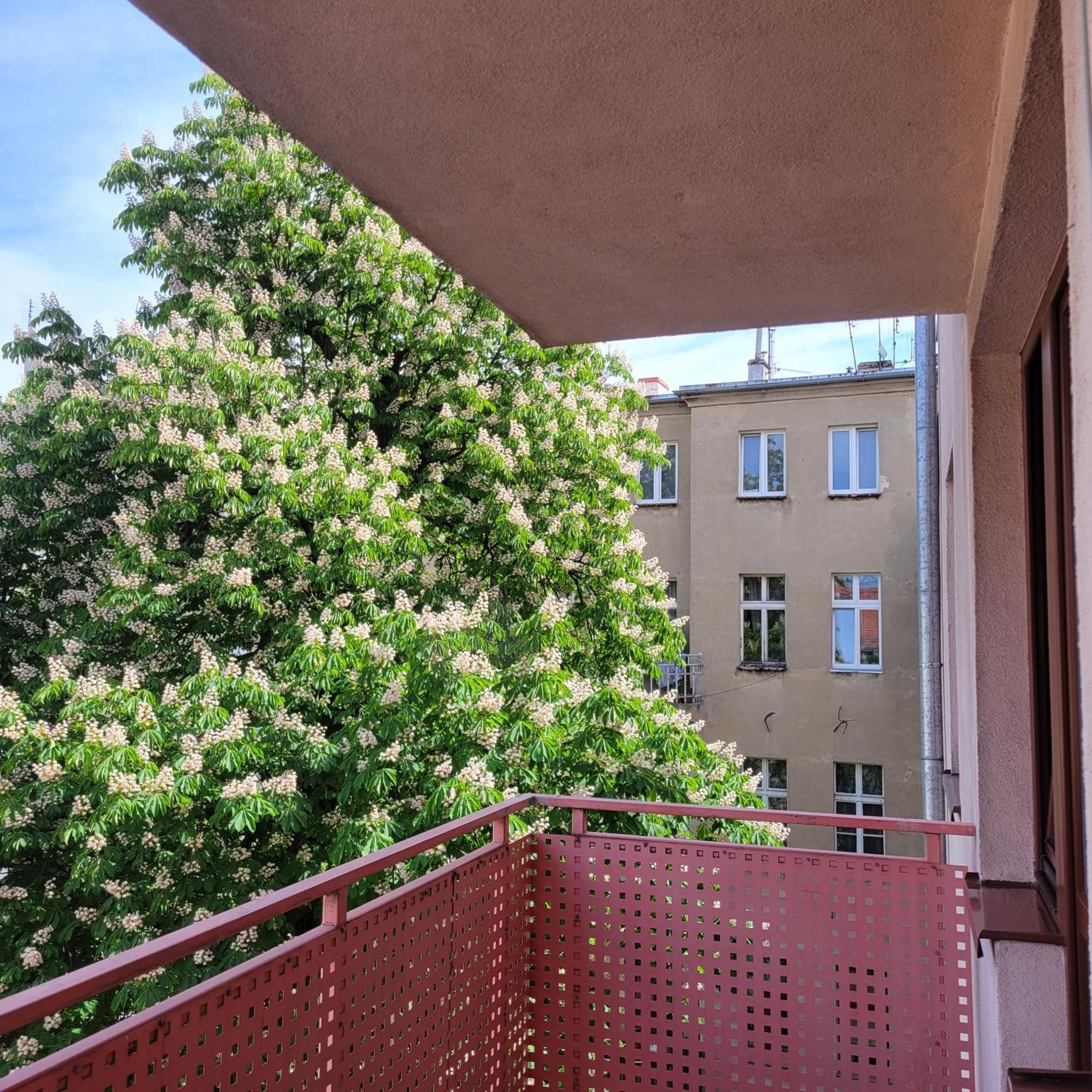 Cozy Apartment Вроцлав Экстерьер фото